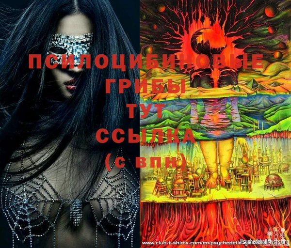 гашиш Пересвет