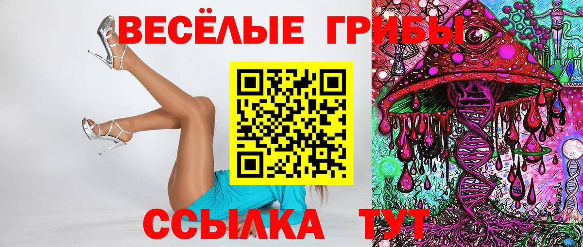 где найти   Галлюциногенные грибы Psilocybine cubensis  Вход с VPN  Качканар 